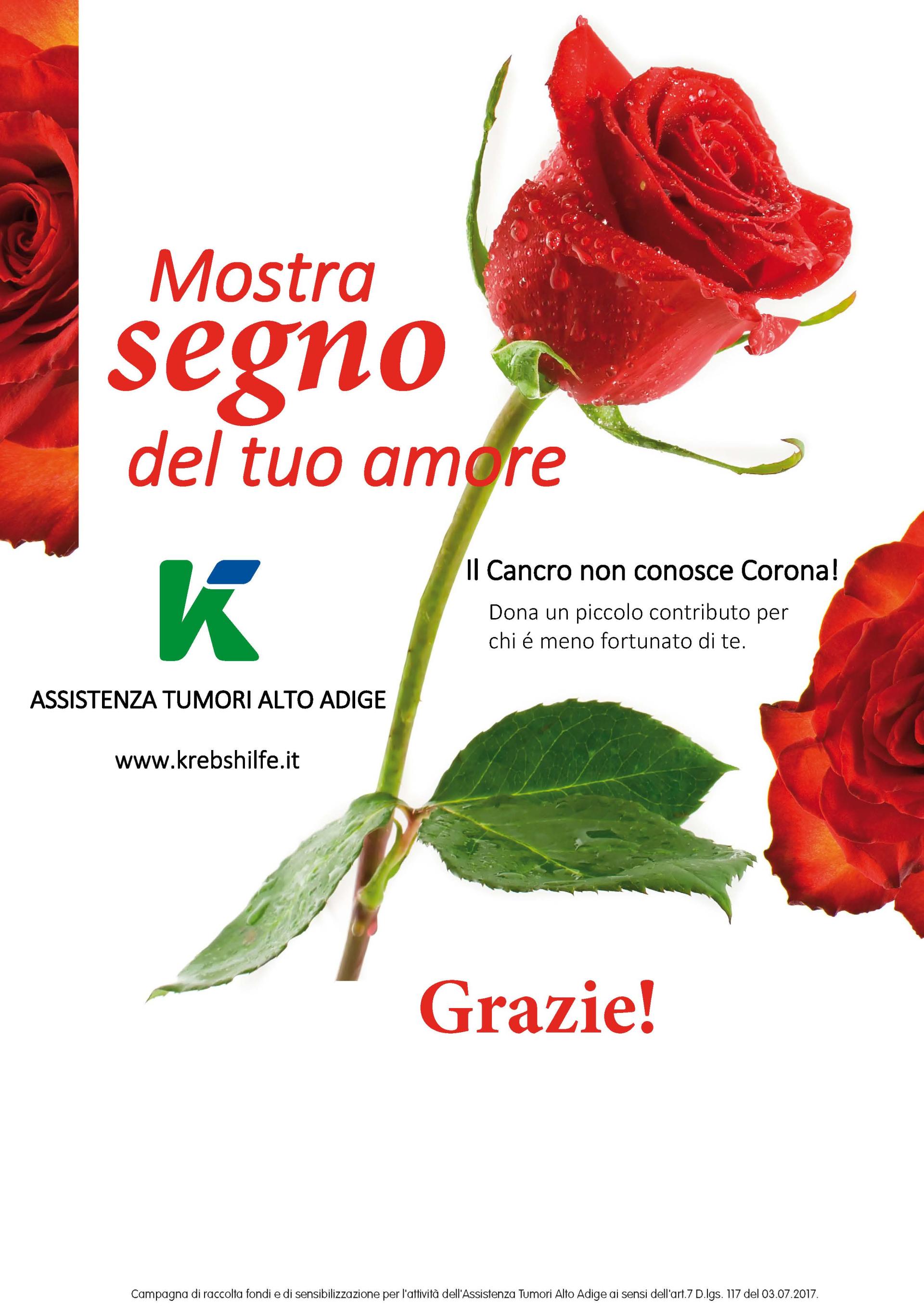 Nastro rosa 2019, anche Treviglio aderisce all'iniziativa per le donne -  Prima Treviglio